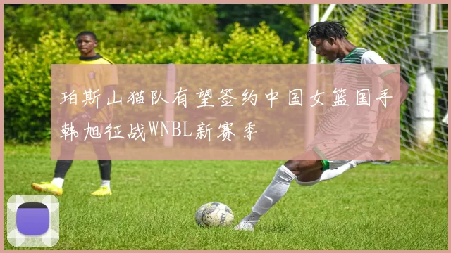 珀斯山猫队有望签约中国女篮国手韩旭征战WNBL新赛季