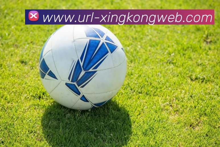 星空体育APP 高清赛事图